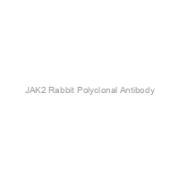 JAK2 Rabbit Polyclonal Antibody